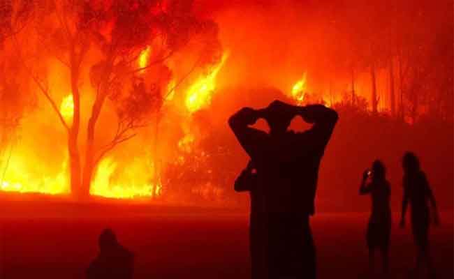 L'Algérie en Proie aux Flammes Dévorantes : 15 Morts et des Milliers Évacués lors des Incendies Dévastateurs