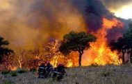 La protection civile annonce l’extinction de tous les Feux de forêts