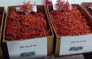 Un réseau de trafic de drogue et de corail tombe à Annaba, quatre individus écroués et 10 Kg de Corail saisis