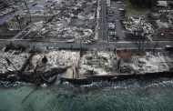 Les incendies sur l'île de Maui ont engendré un impact environnemental étendu et durable