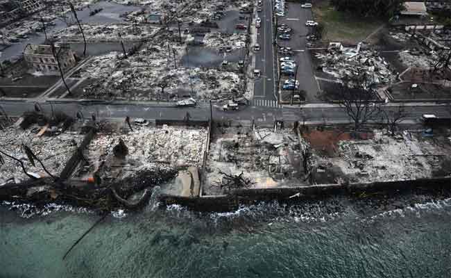 Les incendies sur l'île de Maui ont engendré un impact environnemental étendu et durable