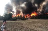 La protection civile annonce l’extinction de quatorze incendies de forêts