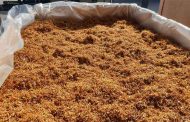 La police d’Annaba saisit plus de 200.000 capsules de tabac, deux individus écroués