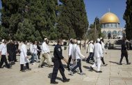 Des dizaines de colons extrémistes ont attaqué la mosquée Al-Aqsa