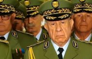 L'Algérie ne progressera jamais car l'âge des généraux ne leur permet que de souiller leurs sous-vêtements.