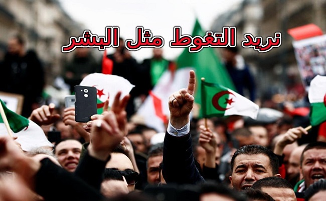 Le prochain Printemps arabe, de la révolution du Jasmin en Tunisie à la révolution des excréments en Algérie