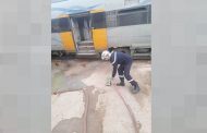Incendie à bord d'un train Coradia entre Sidi Bel Abbès et Saïda