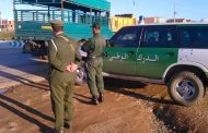 Chellalet-Adaoura : La Gendarmerie neutralise un spécialiste du vol de bétail