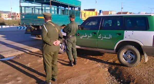 Chellalet-Adaoura : La Gendarmerie neutralise un spécialiste du vol de bétail