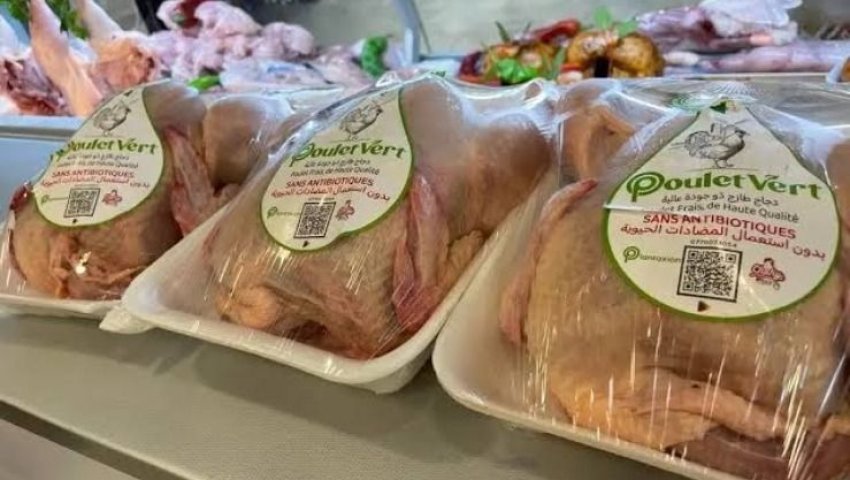 L'ONAB annonce la commercialisation de poulet congelé importé à partir de cette date