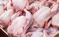 Prévisions de baisse des prix de la viande blanche après la hausse initiale liée au Ramadan