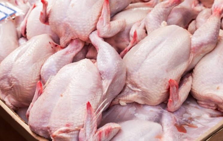 Prévisions de baisse des prix de la viande blanche après la hausse initiale liée au Ramadan