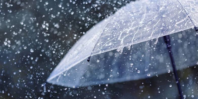 Alerte météo : fortes pluies et orages sur plusieurs wilayas