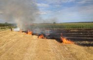 Dehamcha : Incendie ravageur détruit des hectares de cultures et menace les habitants