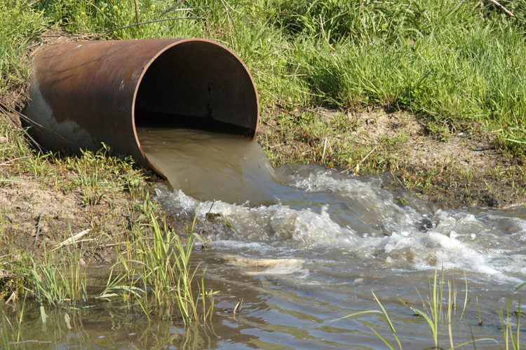 Sous l'égide des généraux, une saison agricole irriguée avec les eaux usées et les déchets des raffineries