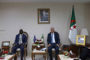Les réformes économiques en Algérie sont-elles un modèle durable pour l’Afrique et le Moyen-Orient ?