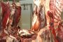 SIDI BEL-ABBÈS : Saisie et destruction de 521 kg de viande avariée à la suite de contrôles sanitaires
