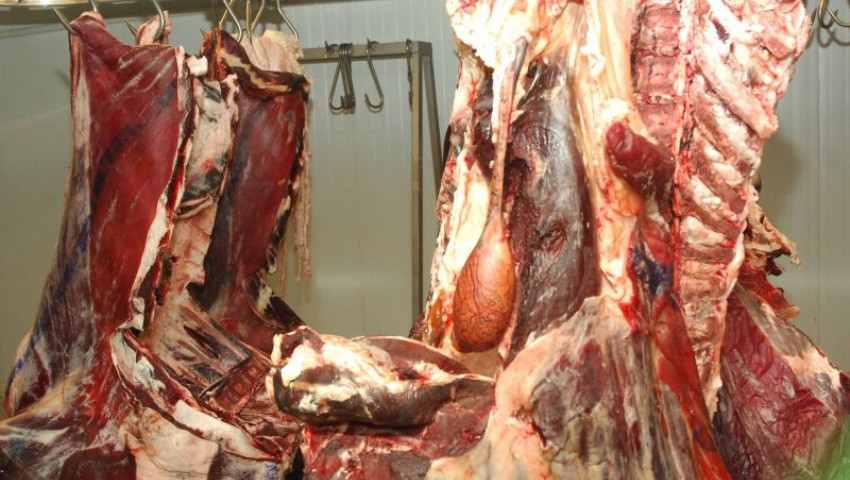 SIDI BEL-ABBÈS : Saisie et destruction de 521 kg de viande avariée à la suite de contrôles sanitaires