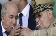 Le chien des généraux Tebboune : le peuple algérien me supplie de me porter candidat pour un deuxième mandat