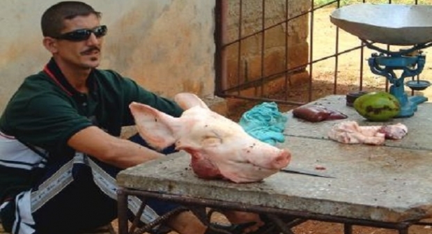 Sous la présidence du dépravé Tebboune, les Algériens ont bu des eaux usées et mangé de la viande de chiens, de chats et de porcs