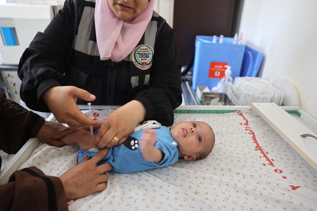 Gaza recevra 1,2 Million de vaccins contre la polio : Une course contre l'épidémie