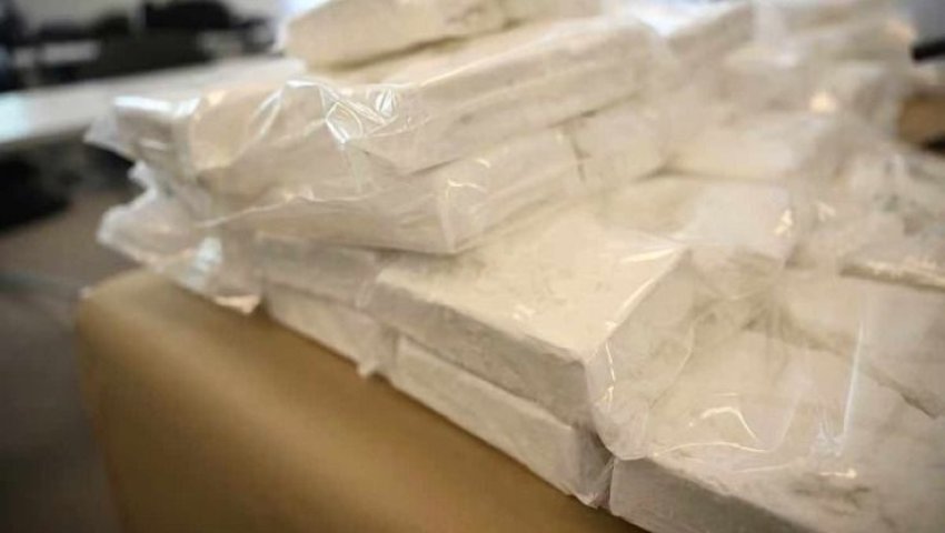 Démantèlement d'un réseau criminel : 82 kg de cocaïne saisis à Blida et Annaba