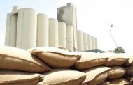 Lancement de 11 centres de stockage de céréales à Tiaret pour 2025