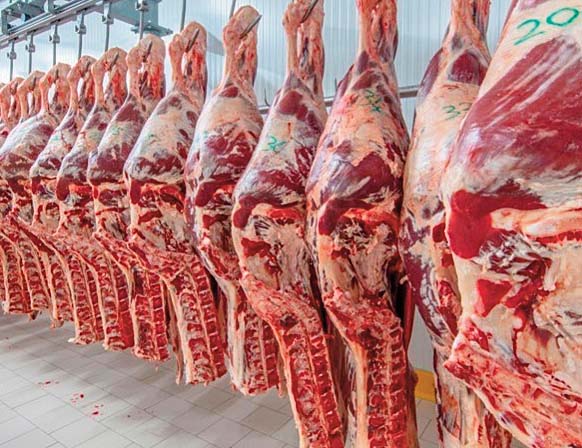 Comment le gouvernement compte renforcer l'offre de viande rouge pour le Ramadan?