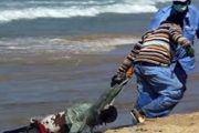 Une mère et ses enfants meurent noyés en mer en tentant de fuir l'Algérie, ce pays soi-disant 