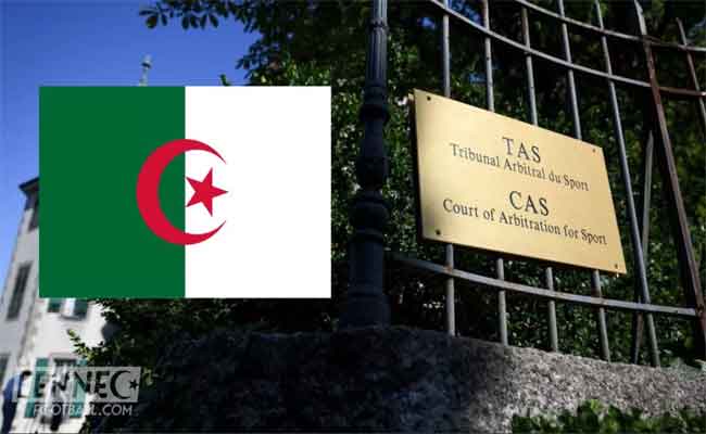 Le bourreau de l'équipe d'Algérie a saisi le TAS : un bras de fer judiciaire avec la CAF