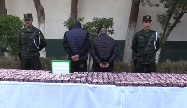 Tiaret : Près de 150.000 comprimés psychotropes saisis par la Gendarmerie nationale