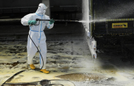 Panique en Europe centrale : la fièvre aphteuse frappe les élevages et ferme les frontières