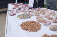Ecstasy à grande échelle à Oran : un coup de filet qui révèle l’échec structurel de la lutte antidrogue