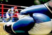 Gestion contestée : la DJS pointe du doigt la Ligue de boxe de Tiaret