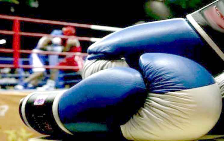 Gestion contestée : la DJS pointe du doigt la Ligue de boxe de Tiaret