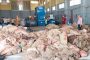 Réception de 12 100 moutons importés d’Espagne au port de Ténès pour l’Aïd El-Adha