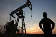 Un marché plus stable et résistant qu’attendu soutient les cours du pétrole