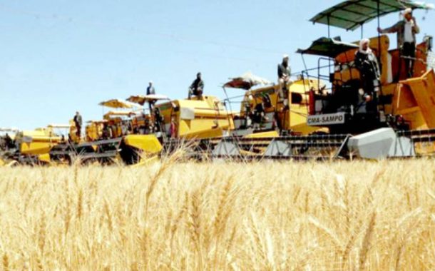 Lancement de la campagne de moisson-battage 2025 à l’Université de Sidi Bel-Abbes