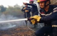 Incendie à Sidi Ghiles : une lutte récurrente contre les feux