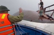 Vietnam : 34 morts et 8 disparus dans le naufrage d’un bateau touristique à Ha Long