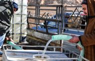 Canicule à Tunis : coupures d’eau et d’électricité aggravent la crise en pleine vague de chaleur