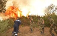 Le général Chengriha inaugure la saison des incendies avec une odeur rappelant celle de la décennie noire