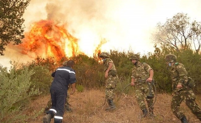 Le général Chengriha inaugure la saison des incendies avec une odeur rappelant celle de la décennie noire
