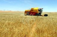 Nâama : Plus de 1,35 milliard DA pour l’aménagement de périmètres agricoles stratégiques