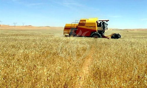 Nâama : Plus de 1,35 milliard DA pour l’aménagement de périmètres agricoles stratégiques