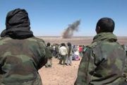 L'enfant illégitime (le Polisario) se révolte contre ses parents (les généraux) pour faire de la wilaya de Tindouf une entité séparée de l'Algérie