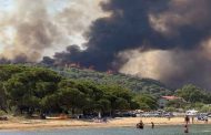 Incendies de forêt en Grèce et en Syrie : Évacuations massives et mobilisation des secours