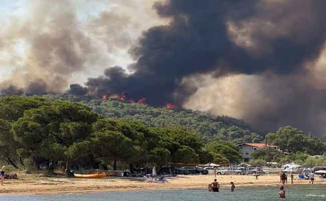 Incendies de forêt en Grèce et en Syrie : Évacuations massives et mobilisation des secours