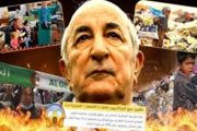 Le citoyen algérien sous le régime de Tebboune est perdu entre la faim, la pauvreté et la prostitution