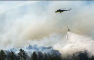 Incendies dévastateurs en Turquie : plus de 50 000 évacuations à Izmir, l'aéroport suspend ses opérations